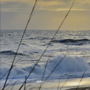 Meet your Posher, Todd